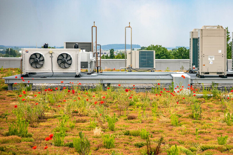Begrünte Dachfläche mit Wärmepumpe