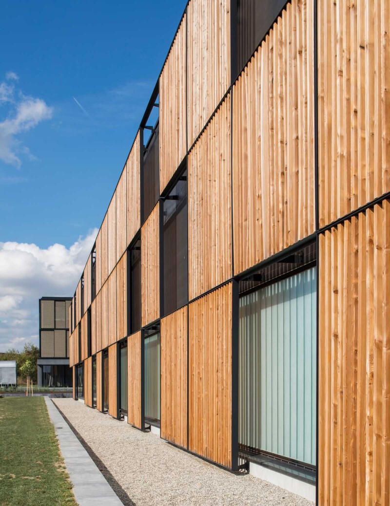 Baierl + Demmelhuber Fassade Holz