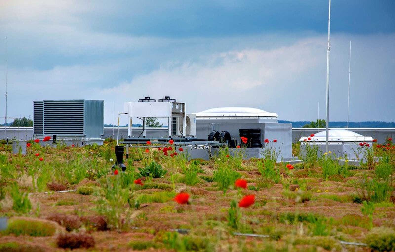 Schleifring Unternehmenszentrale extensive Begrünung