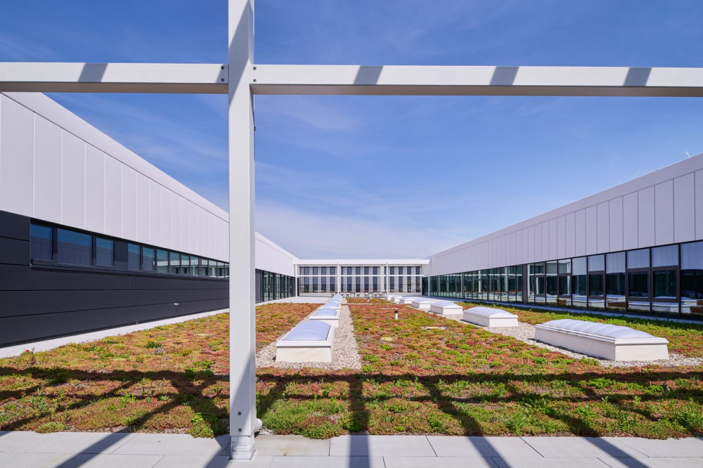 Dachterrasse Begrünung